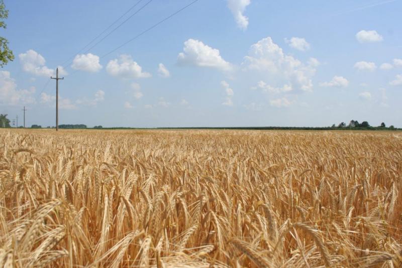 Agrárminiszter: A gazdák sosem találják meg a nyugalmukat.