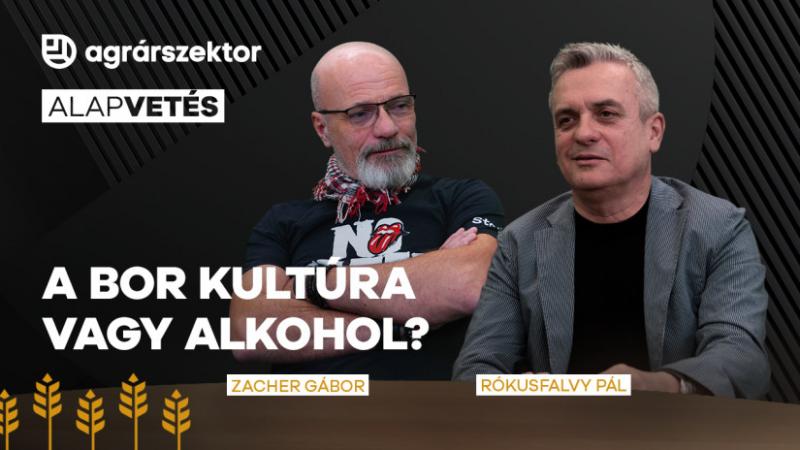 A bor: kultúra vagy csupán alkohol? Az út, amely egymillió alkoholistától elvezet a borértő nemzetig, rendkívül összetett. Az Agro Napló elemzése rávilágít arra, hogy a bor nem csupán egy ital, hanem egy gazdag hagyomány és életforma is, amely mélyen gyök