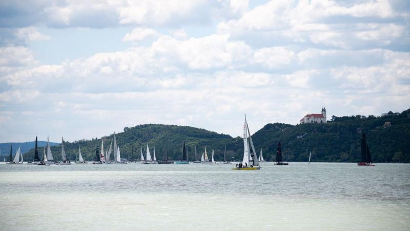 Elképesztő, hogy mi felelős a Balaton vízének tisztaságáért!